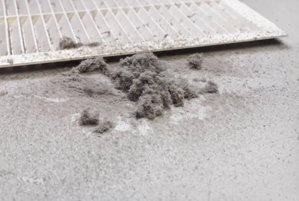 Best Duct Cleaning for Offices  in Milan, TN
