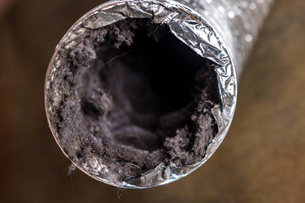 Best Air Duct Sanitizing Services  in Milan, TN